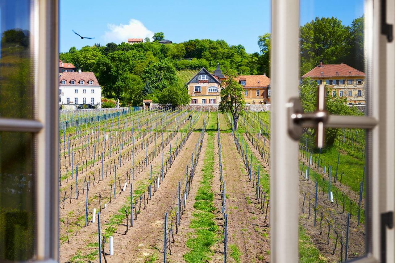 Weingut Haus Steinbach Villa Radebeul Eksteriør bilde